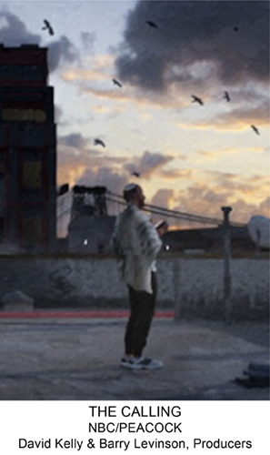 Man standing on rooftop at sunset.